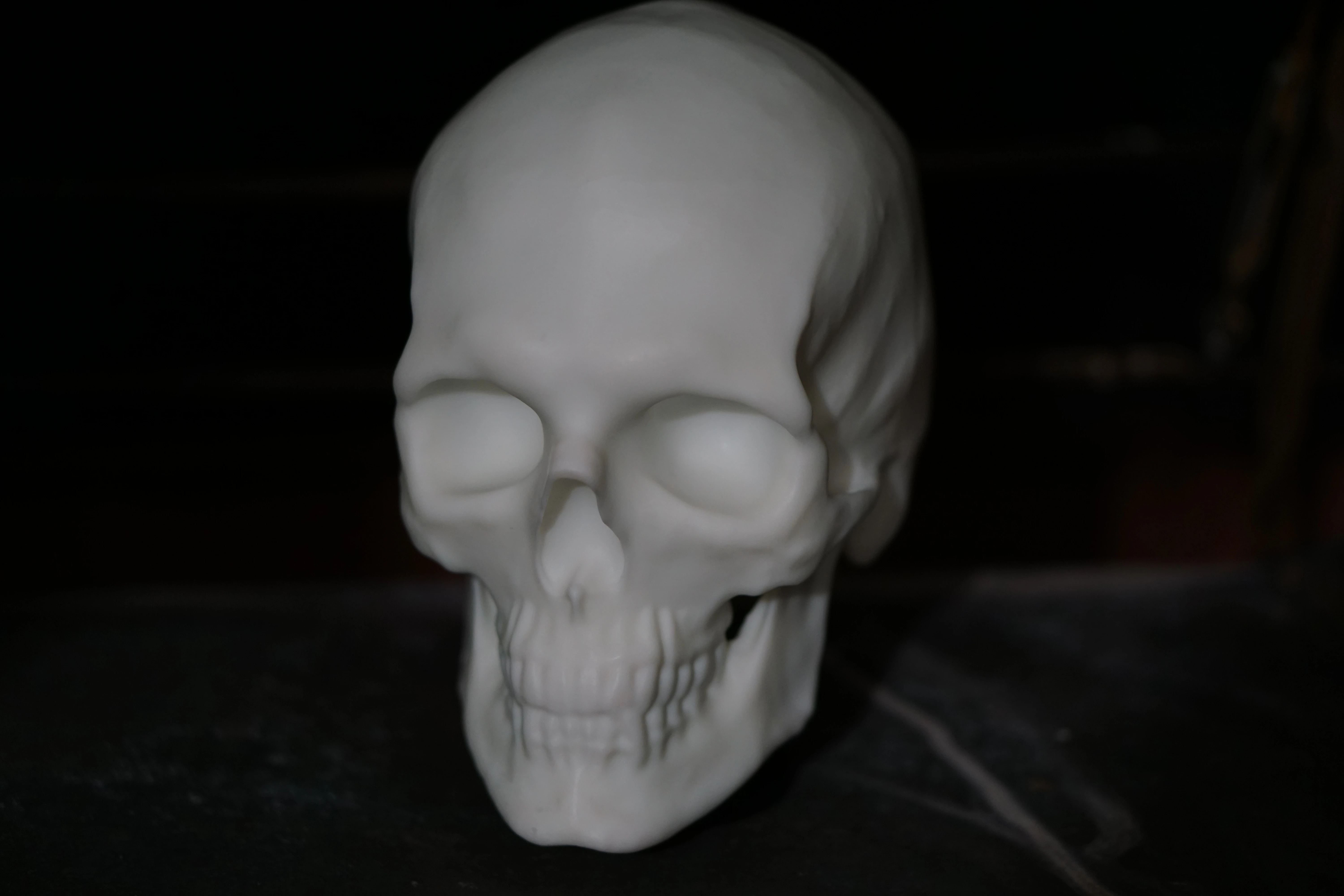 3D SLA printed skull model