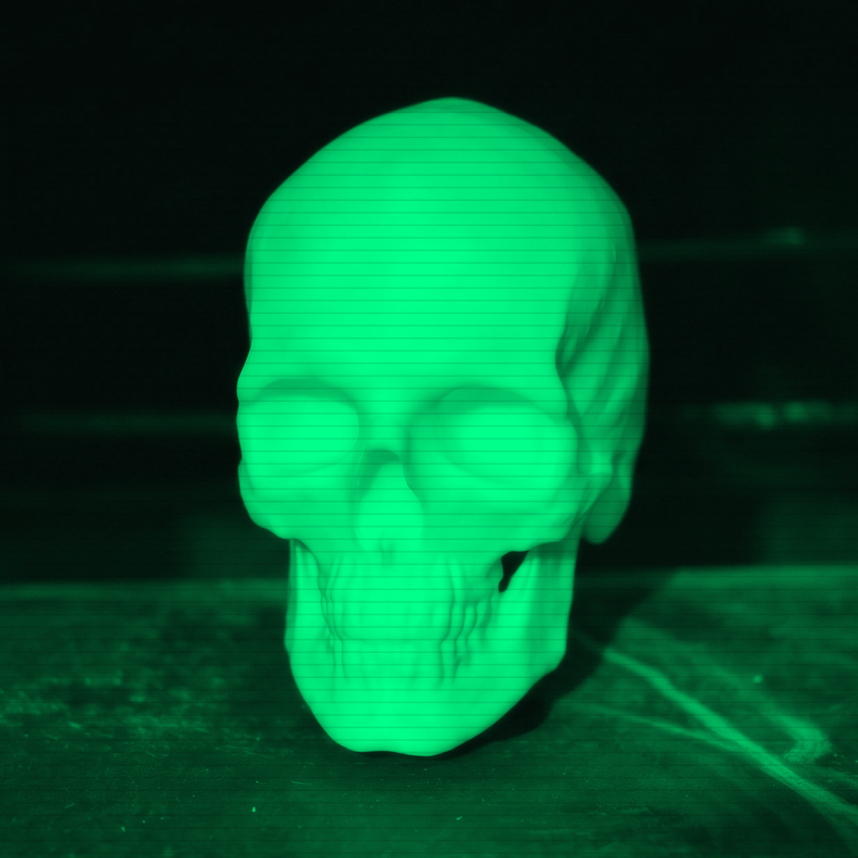 CT2Mesh2Print 3D Printed Model